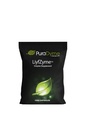 LiyfZyme - 1000 Vegan kapslar - Plant-Based Enzyme Supplement för protein, fett och kolhydratbrytning