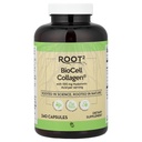 Vitacost ROOT2 BioCell Collagen med Hyaluronic Acid - 100 Milligram Per Servering - 240 kapslar