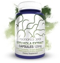 Nootropics Depot Gotu Kola Extract Capsules | 120mg | 90 greve | Acid Resistant | Centella asiatica | 35-45% Triterpenes | Stöder Hälsosamma Stressnivåer | Främjar Memory Enhancement