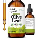 Wild & Organic Olive Leaf Extract Liquid Drops - Antioxidant & Immune Support - Oleuropein Olive Leaf Supplement - Vegan, Sugar & Alkoholfria droppar - 2 fl oz