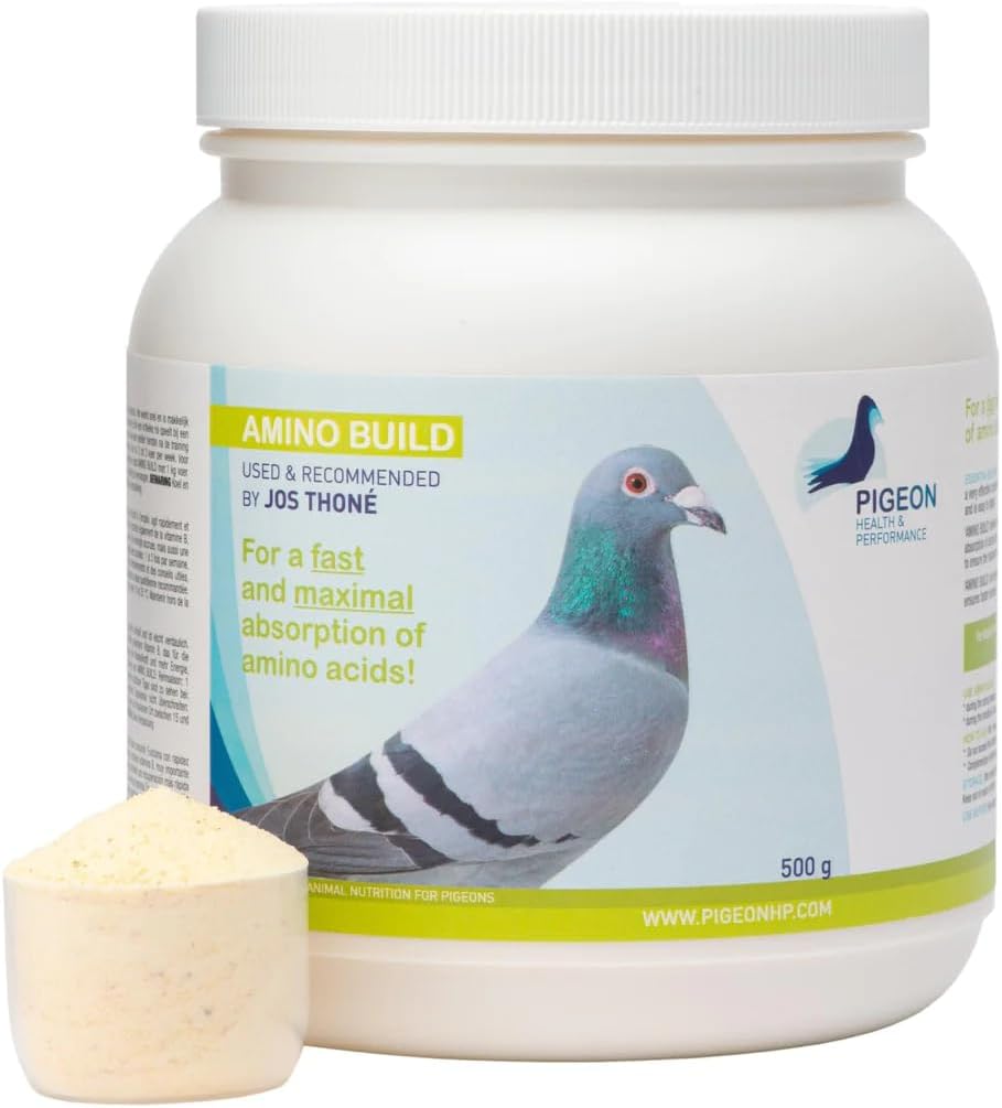 Generisk PHP Amino Build 500g - Muscle-Building Amino Acids Pigeon Health & Performance