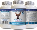 Hundar Eye Vitaminer - Hundar Eye Health Formel - Avancerad Eye Support Complex - VETS Rekommenderad - Hund Lutein - 1 flaska (60 tabletter)