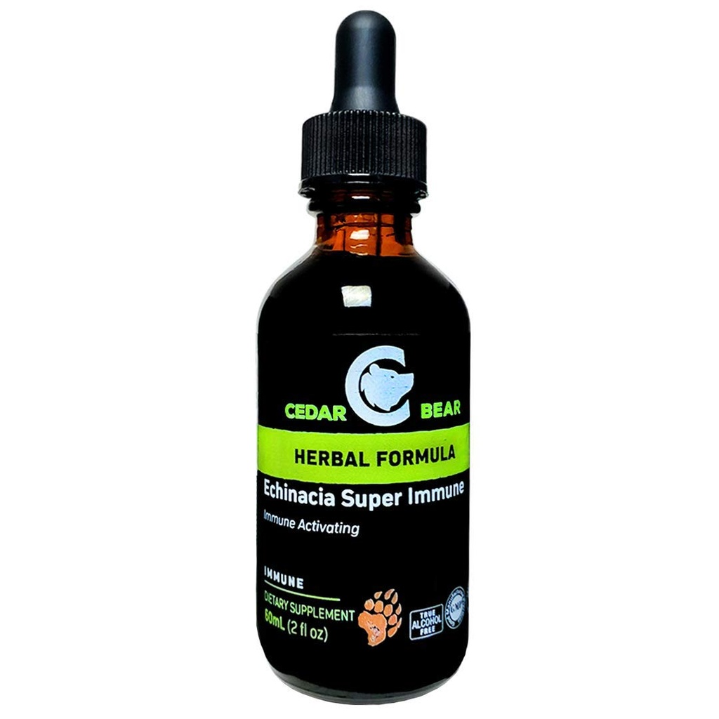 Cedar Björn Echinacea Super Immune Blanda ett flytande växtbaserade tillskott som ökar ditt immunsystem för att hjälpa till att upprätthålla vit blodcellaktivitet och andra immunfunktioner 2 FL Oz