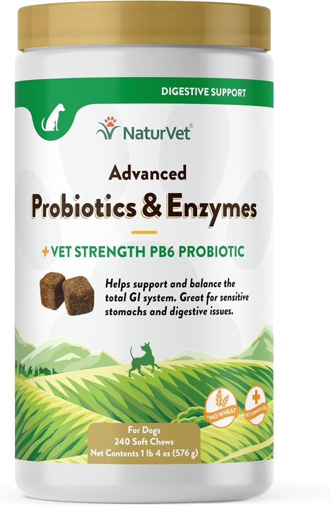 NaturVet Advanced Probiotics & Enzymes, PB6 Dog Soft Chews för att hjälpa känsliga magar och matsmältningsfrågor, Hickory Smoked Bacon Flavored Pet Supplement för hundar över 6 veckor, 240 greve Jar