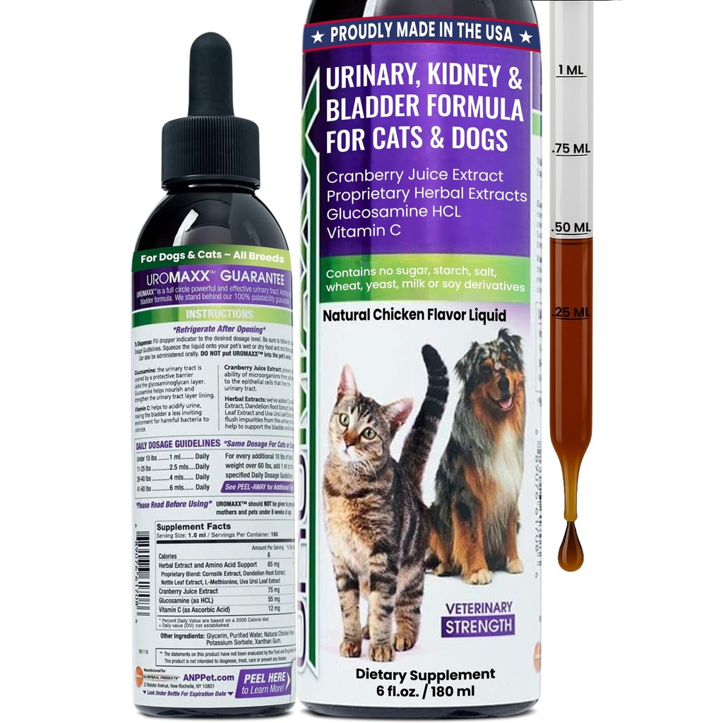 Cat & Dog Urinary Tract Treatment, Bladder & Kidney Support för hundar och katter, kraftfull men jämn Pet Care, med flytande tranbär & glukosamin, kyckling smak, 6 oz flaska, 1 Pack