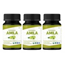 Amla 120 tabletter - USDA Organic Indian Gooseberry - Rich in Vitamin C & Supports Immune Health * - Paket 3
