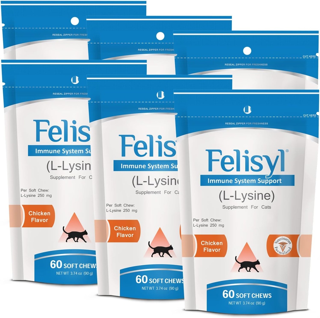 L-Lysine Soft Chews for Cats (60 Soft Chews) - stöder immun, andning och ögonhälsa. Lättar Sneezing, Runny Nose och Watery Eyes. Salmon Flavor - (6 Pack)