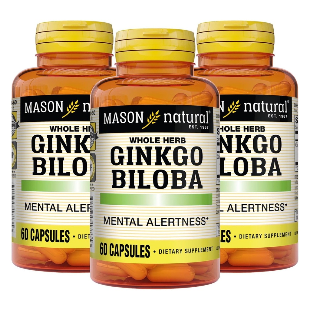 MASON NATURAL Ginkgo Biloba, 3 Month Supply, hjälper till att förbättra mental Alertness & Support Optimal Brain Function, 60 kapslar (3 Pack)