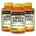 MASON NATURAL Ginkgo Biloba, 3 Month Supply, hjälper till att förbättra mental Alertness & Support Optimal Brain Function, 60 kapslar (3 Pack)