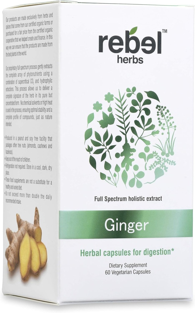 Rebell Herbs Ginger Capsules Kraftfull Dual Extract, Non-GMO, Gluten Free, Ginger Root (Rhizome) Extrakt