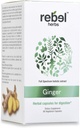 Rebell Herbs Ginger Capsules Kraftfull Dual Extract, Non-GMO, Gluten Free, Ginger Root (Rhizome) Extrakt