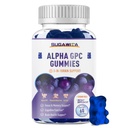 Alpha GPC Choline Gummies 600mg med Phosphatidylserine & Bacopa - 3-i-1 Brain Support för minne, fokus och långsiktig kognitiv hälsa - Sugarfri, naturlig formel, 60 Count