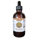 Ginkgo Liquid Extract, Organic Ginkgo (Ginkgo Biloba) Tinkture Supplement 4 oz