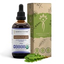 Hemligheter av stammen Dandelion Leaf USDA Organic | Alkoholfri extrakt, högpotens Herbal Drops | Tillverkad av 100% certifierad organisk Taraxacum Officinale Torkade Leaf 4 fl oz