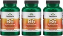 Swanson B6 Pyridoxin - Vitamin Supplement främja kardiovaskulär hälsa och energi metabolism - naturlig formel främjar övergripande välbefinnande - (250 kapslar, 100 mg vardera) 3 Pack