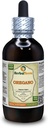 Oregano (Origanum Vulgare) Tinktur, Organic Dried Leaves Liquid Extract (Brand Name: HerbalTerra, Proudly Made in USA) 4 fl.oz (120 ml)