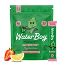 Waterboy Workout Hydration | 2 960mg Sugar Free Electrolyte Powder Packets | L-Glutamin + Vitaminer | No Sugar, All Natural, Gluten Free | 15 Drink Stick Mixes (Strawberry Lemonade)