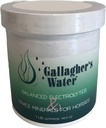 Gallaghers vattenbalanserade elektrolyter och spårmineraler för hästar, 1LB