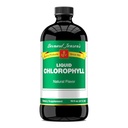 Bernard Jensensens 100% rena naturliga klorofyll smakvätsketillskott | Främjar alkalisk Ph | Hjälper till att rengöra blod | 16 Fluid Ounce (474 ml)