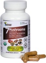 Sayan 7 Mushroom Extract 90 Capsules/440mg ea – Immune Support & Energy – Organic Chaga, Reishi, Lion's Mane, Maitake, Shiitake, Turkey Tail Adaptogen Blend – Vegan, Non-GMO, No Fillers or Additives