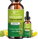 Extra Styrka 2 000 mg Mullein Drops för Lungs, Mullein Leaf Extract Supplement, alkoholfri, hög absorption, kraftfull och naturlig Vegan Mullein Liquid Drops för Lung Cleanse, Immune Support