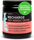 LEGION Recharge Post Workout Supplement - All Natural Muscle Builder & Recovery Drink med Micronized Creatine Monohydrate Naturligt sötad och smaksatt (Arctic Blast, 30 Servings Pack på 1)