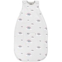Woolino Merino Wool Ultimate Baby Sleep Sack - 4 Season Baby Wearable Blanket - Two-Way Zipper Justerbar sovsäck för spädbarn och småbarn - Universal Size (2-24 månader) - Rainbow