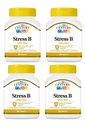 21st Century Stress B W/Zinc 66 greve (4 Pack)