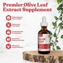 Rejuvica Active Olive Leaf Extract | Naturligtvis förekommer Oleuropein Liquid Drops för Immune & Heart Support | Fast-Absorption, Vegan, Alkoholfri | 6 fl oz