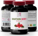 hawthorn berry extract capsules - HAWTHORN BERRIES EXTRACT - berry extract powder, wild berry energy, hawthorn energy pills, hawthorn berry tincture, antioxidants supplement for women 1 Bot 60 Caps