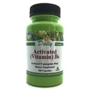 Daglig tillverkning aktiverad vitamin B6