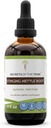 Secrets of the Tribe Stinging Nettle Root Alcohol Extract, High-Potency Herbal Drops, Tincture Made från Stinging Nettle (Urtica dioica) Dried Root 4 oz