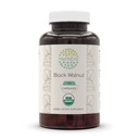 HerbEra Black Walnut USDA Organic 120 kapslar | Natural Herbal Supplement | Certified Organic Vegetarian Capsules and Organic Black Walnut (Juglans Nigra) Dried Hull (120 kapslar)