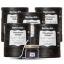 Bättre Alt Pure Himalayan Shilajit Resin Pack med 5 High Potency Gold Grade 375 portioner för energiökning och immunstöd, 85+ Spårmineraler, 75% + Fulvic Acid, med Lab Test Report, 400 mg