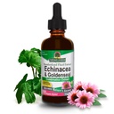 Naturens svar Echinacea & Goldenseal med organisk alkohol, 2-Fluid Ounces