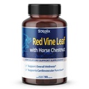 Red Vine Leaf och Horse Chestnut, 50% Flavonoids för Leg Vein Support, Skin, Heart Wellness - Tillverkad i USA