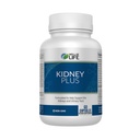 Well of Life: Kidney Plus 600mg med Cranberry Extract, Astragalus Root, Java Tea-Leaf & antioxidanter för övergripande välbefinnande, hjälper hälsosam njurfunktion och urinvägar Wellness, 60 kapslar