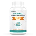 Orgabay Liposomal NAD+ Tillägg 500 mg, hög absorption, öka NAD + med TMG 250 mg, faktiskt NAD Plus mer effektivt än nikotinamid Riboside, stödja cellulär energi, hälsosam åldrande | 60 Softgels