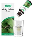 A. Vogel Ginkgo Biloba droppar