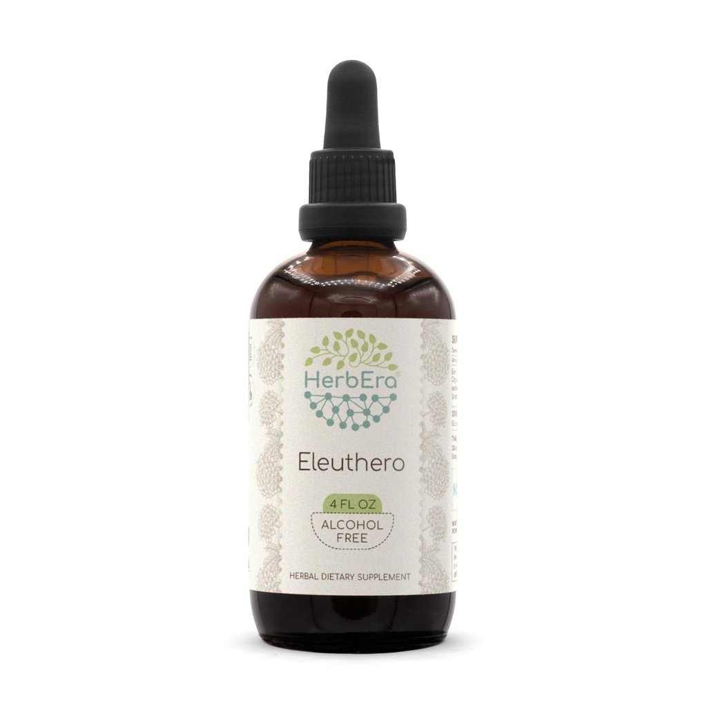 HerbEra Eleuthero B120 Alcohol-Free Herbal Extract Tincture, Concentrated Liquid Drops Natural (Eleutherococcus Senticosus, Siberian Ginseng) 4 fl oz