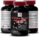Natural Stamina Boost - TRIBULUS TERRESTRIS Extract - Styrka & Aktivitetsstöd, energioptimering Formel, växtbaserad kraft, kroppsprestanda Blend, aktiv återhämtning, energiflöde 1Bot 90Tabs