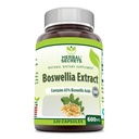 Herbal Secrets Boswellia Serrata Extract (65% Boswellic Acids) 600 mg 120 kapslar Supplement - Non-GMO - Gluten Free