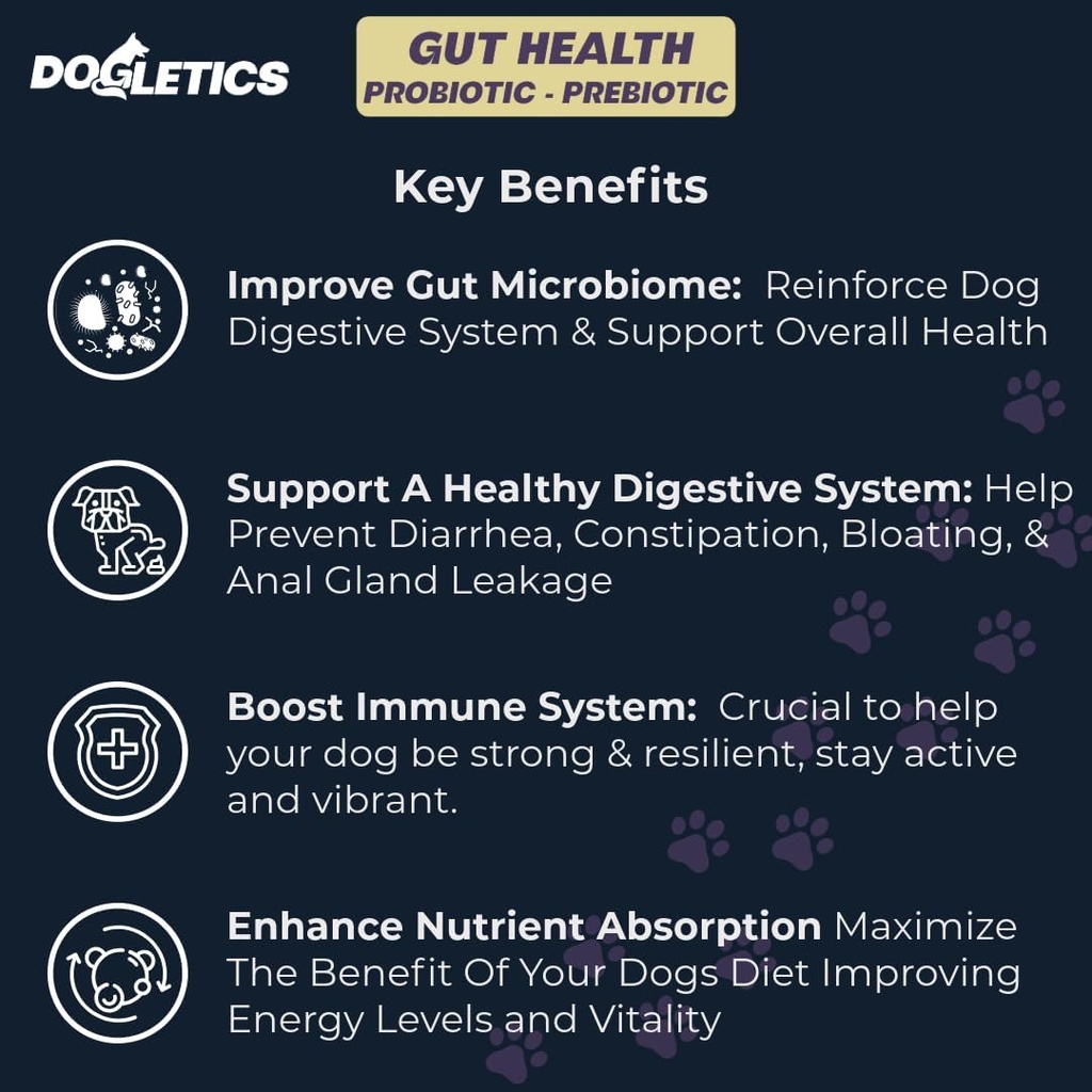 Gut Health Probiotic & Prebiotic - 90ct Support Stomach Microbiome, Förhindra Digestive Problems, Minska anala körtelproblem, förbättra immunfunktion och övergripande energi