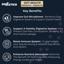 Gut Health Probiotic & Prebiotic - 90ct Support Stomach Microbiome, Förhindra Digestive Problems, Minska anala körtelproblem, förbättra immunfunktion och övergripande energi