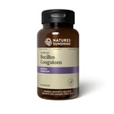 Naturens Sunshine Nutribiome Bacillus Coagulans Probiotics, 90 kapslar | 3 miljarder CFU av Bacillus Coagulans Probiotic hjälper till att försvara mot Digestive Upset och yrkesdiarré, gas och uppblåsthet