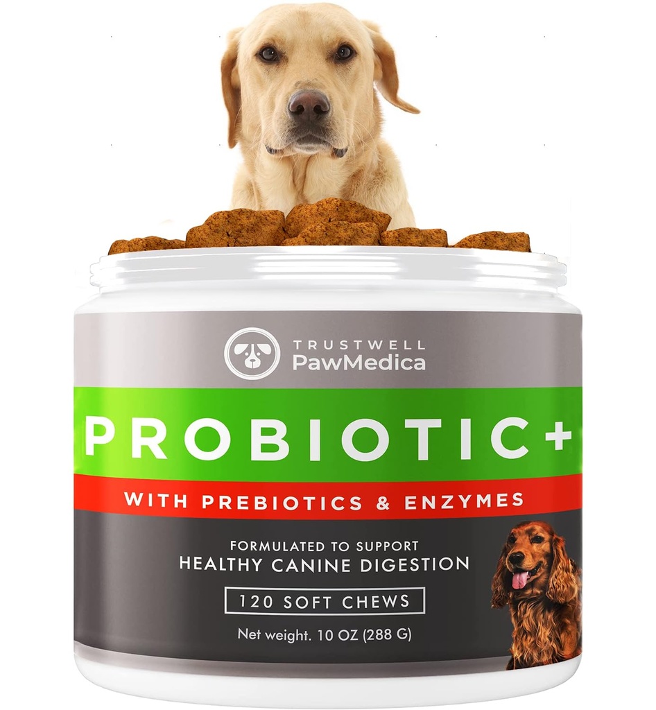 PawMedica Dog Probiotics och Digestive Enzymes, Probiotics for Dogs Made in USA, Pet Probiotic Chews for Dogs, Prebiotics & Probiotic Dog Digestive Support, Probiotic Treats - 120 Dog Probiotic Chews