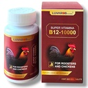 B-12 200 tabletter för fåglar Roosters