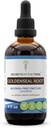 Hemligheter i stammen Goldenseal Root Tincture Alcohol-Free Extract, High-Potency Herbal Drops, Tincture Made från ansvarsfullt odlad Goldenseal Hydrastis Canadensis Healthy Digestion 4 oz