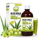 Grundläggande Ayurveda Gooseberry + Aloe Vera Juice - 16.23 Fl Oz (480ml) | 50-Fifty Herbal Mix för immunitet, Digestion & Skin Health | Amla & Aloe Blend | 100% Naturlig | Daily Ayurvedic Tonic