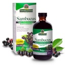 Naturens svar Sambucus äldste Berry Extract Syrup 8 Ounce ( 3 Pack) | Daglig immunstöd | Förpackad med antioxidanter | Familjevänlig | Flue Season Defender